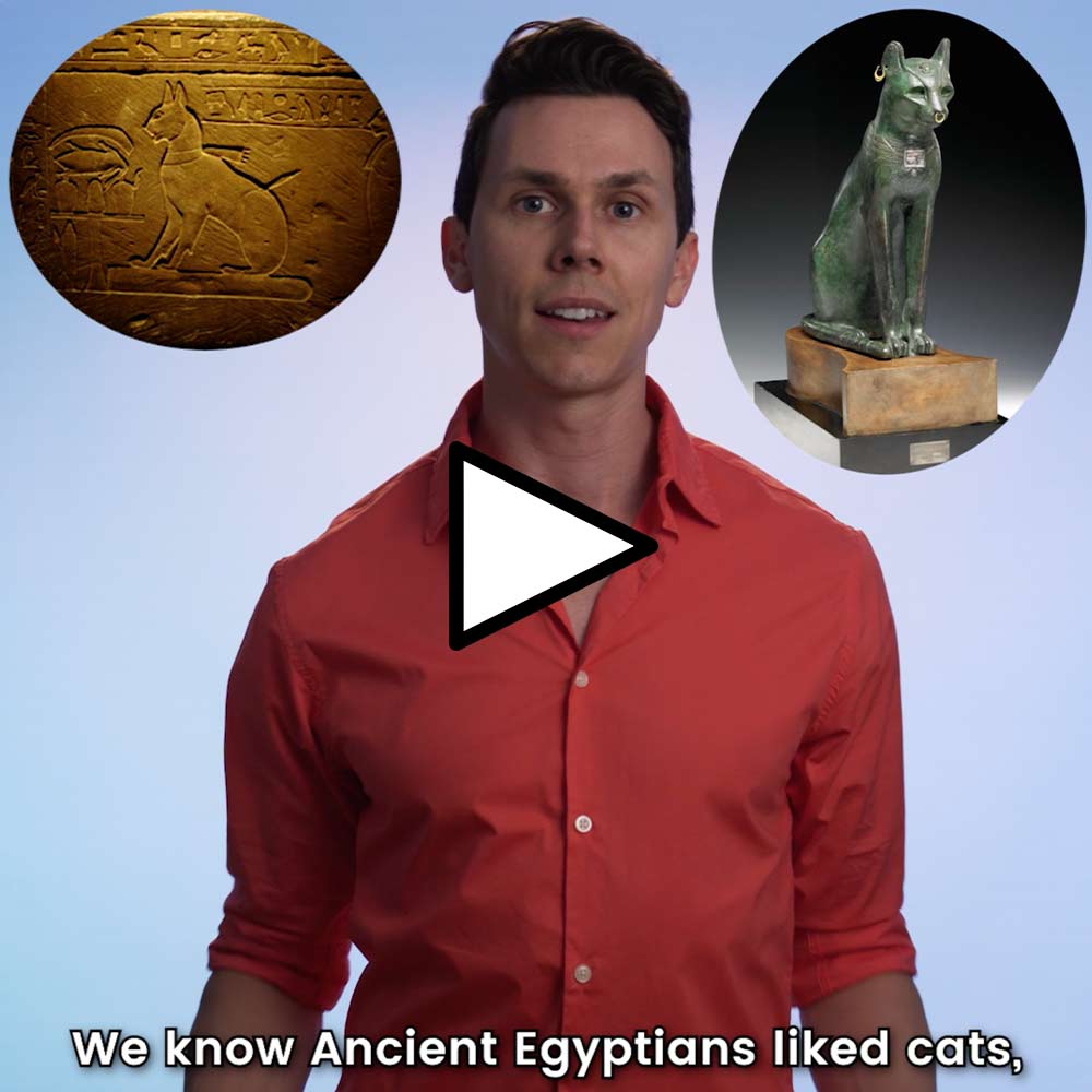 Ancient Egyptian Cats Video Thumbnail
