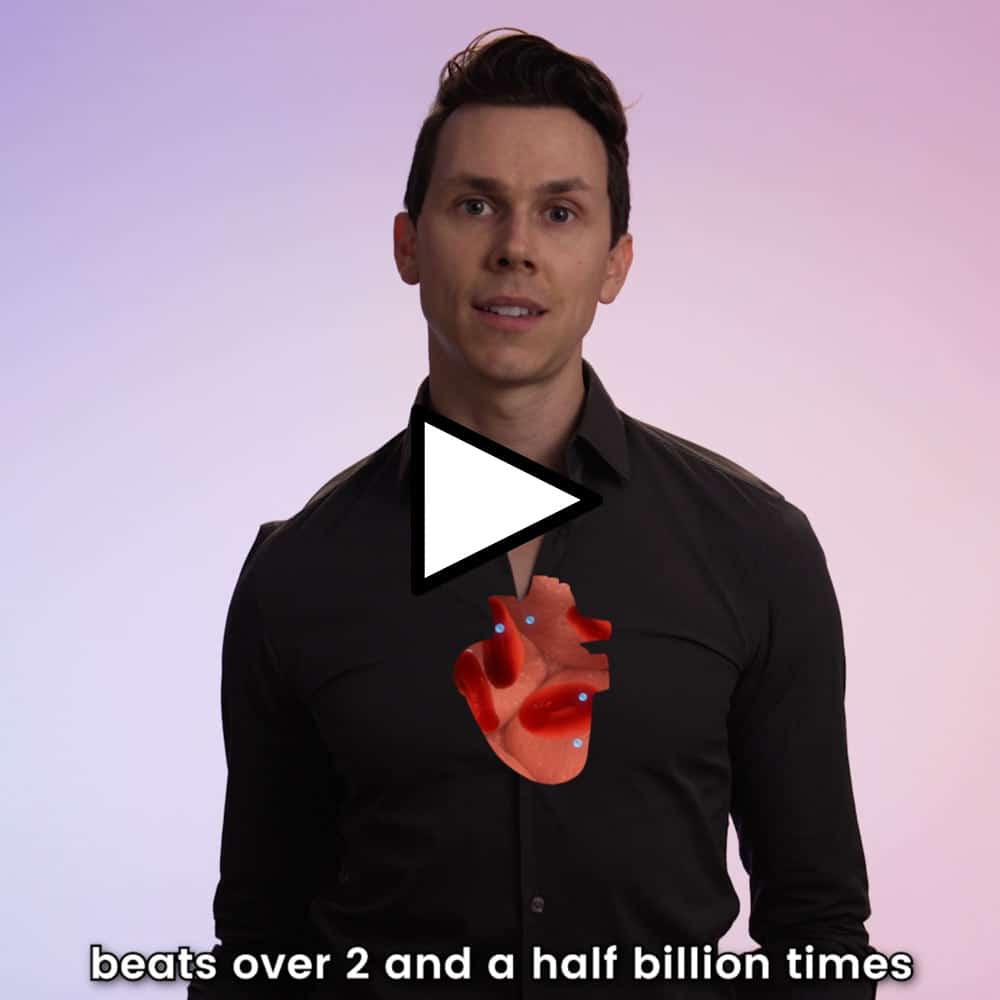 In the Average Lifetime Your Heart Will Beat Over 2 and a Half Billion Times_