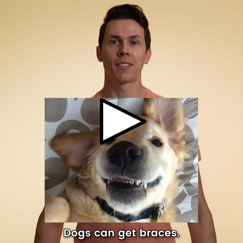 Dogs can get braces