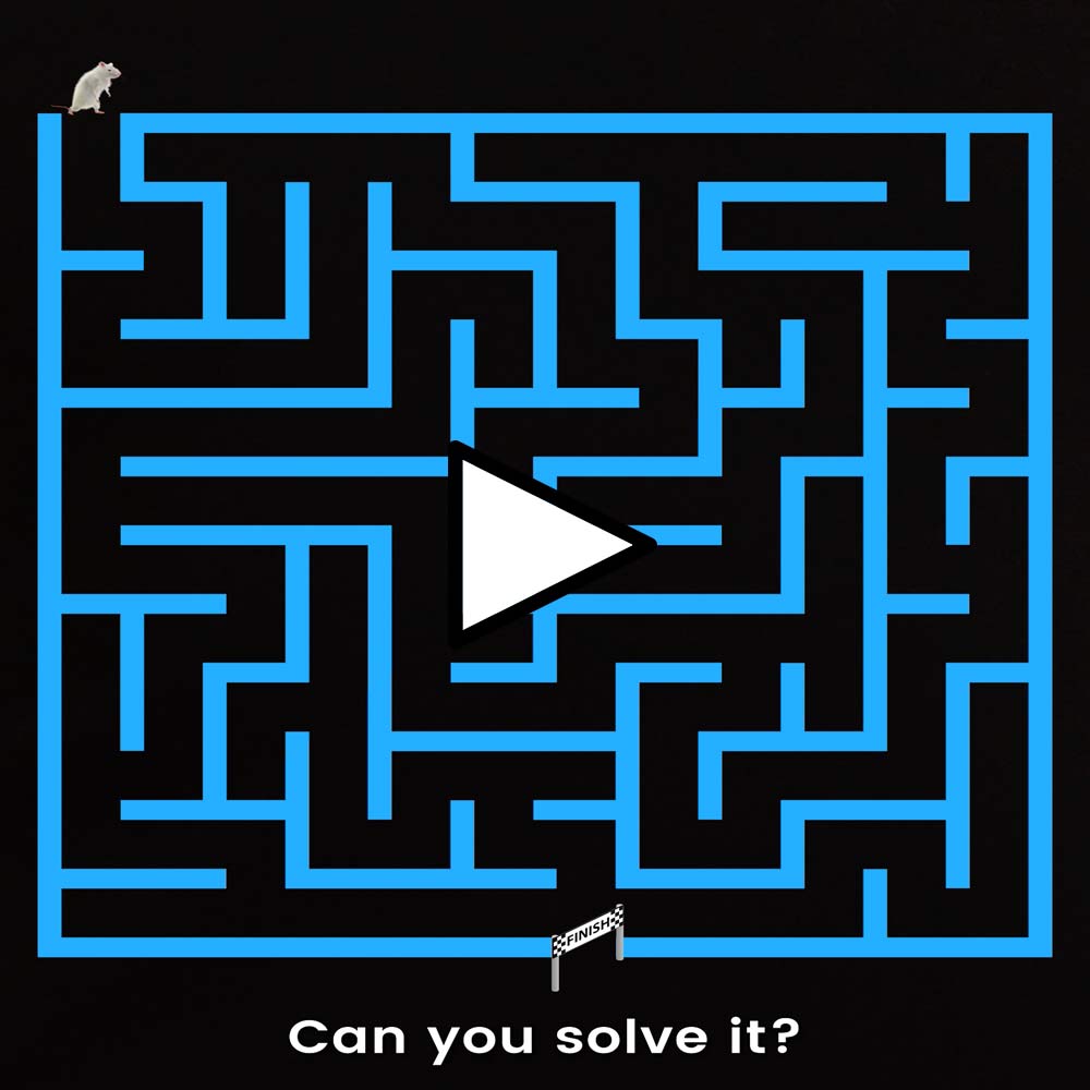 Can You Solve This Maze?